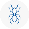 Ant Removals In Calderdale