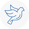 Bird Prevention Calderdale