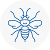 Calderdale Hornet Nest Removals