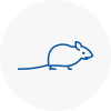 Mice Exterminators In Calderdale