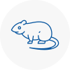 Rat Control Calderdale