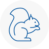 Calderdale Rodent Removals